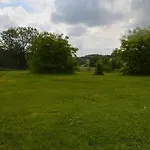Bohemica 1 *